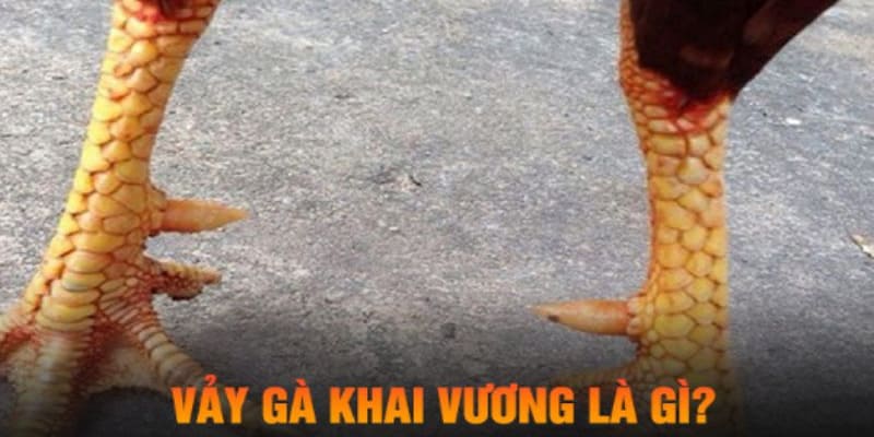 Dấu hiệu nhận biết vảy gà khai vương