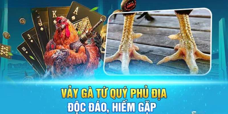 Các loại vảy tứ quý thường gặp nhất ở gà đá