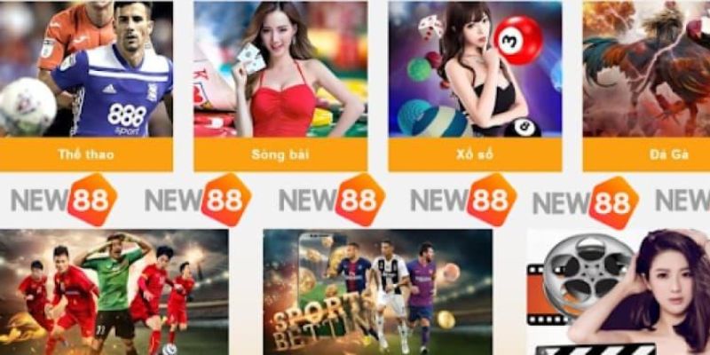 Trải nghiệm một số trò chơi cá cược nổi bật