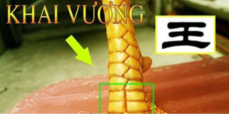 Vảy gà có chữ vương