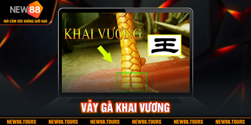 Hướng Dẫn Xem Vảy Gà Khai Vương Và Đặc Điểm Dễ Nhận Biết Cho Sư Kê