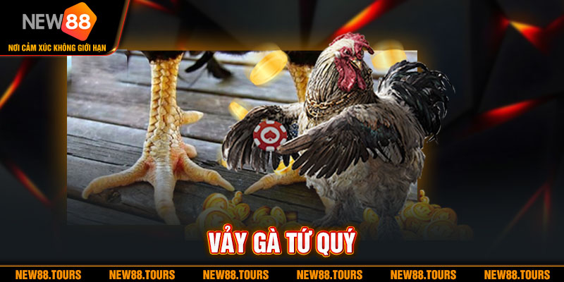 Vảy Gà Tứ Quý - Loại Vảy Gà Đá Siêu Hiếm Bất Khả Chiến Bại